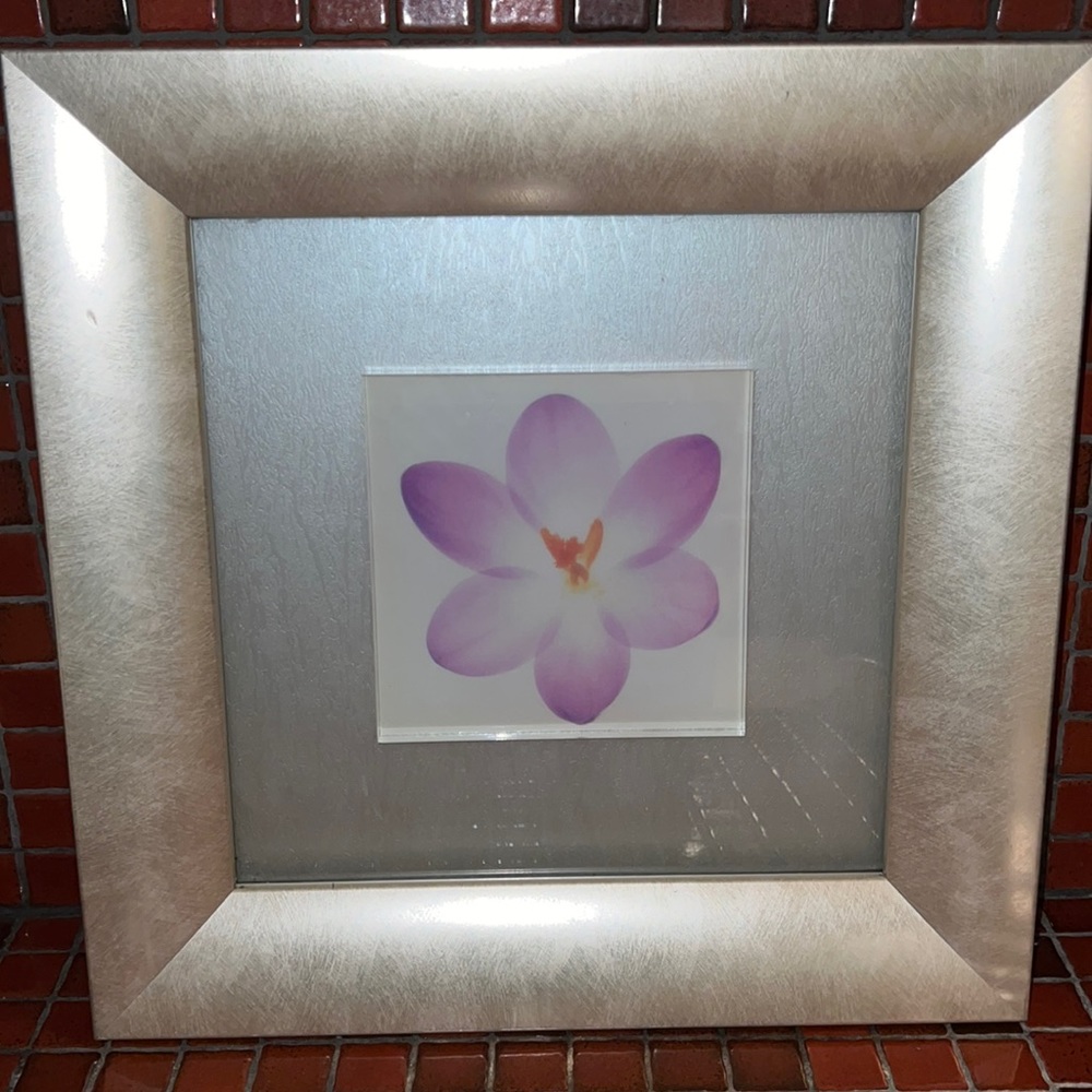 Crystal Flower Silver Frame Artwork